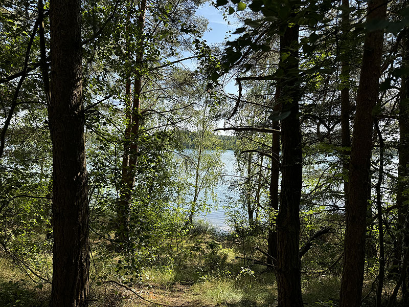 Die FKK Plätze am Brückelsee in Wackersdorf
