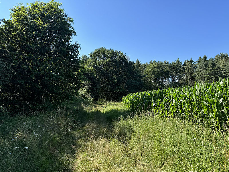 Die FKK Plätze am Brückelsee in Wackersdorf