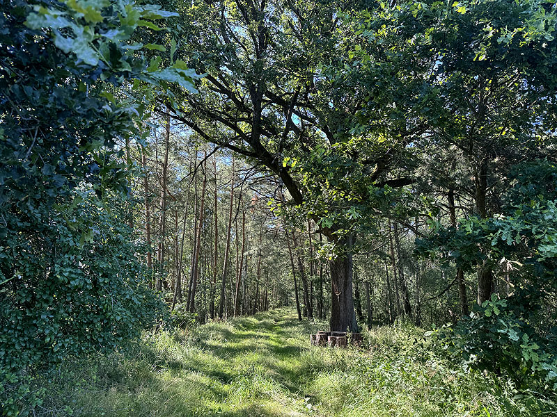 Die FKK Plätze am Brückelsee in Wackersdorf
