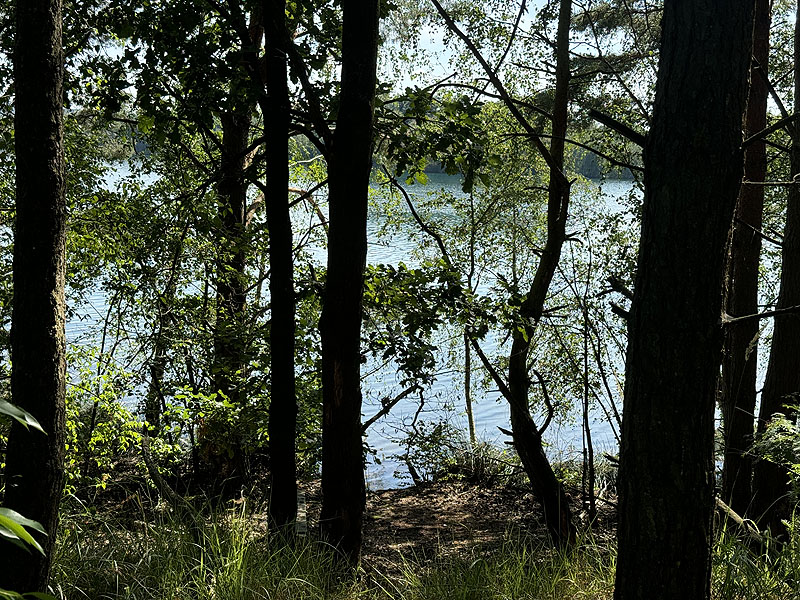 Die FKK Plätze am Brückelsee in Wackersdorf