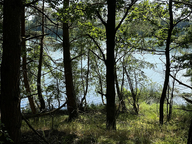 Die FKK Plätze am Brückelsee in Wackersdorf