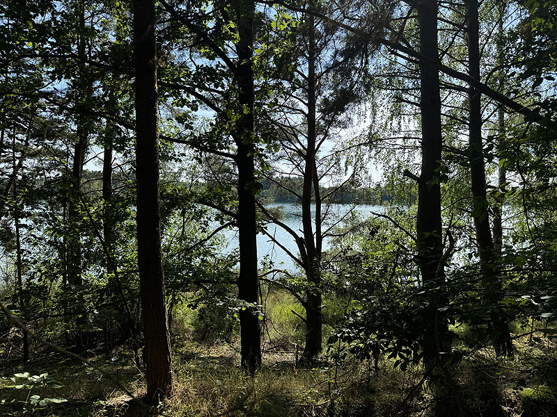 Die FKK Plätze am Brückelsee in Wackersdorf