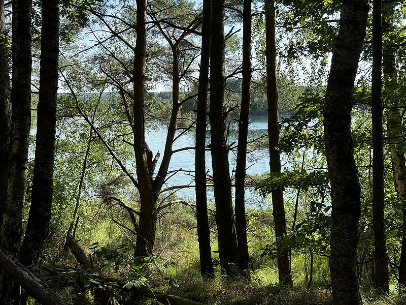 Die FKK Plätze am Brückelsee in Wackersdorf