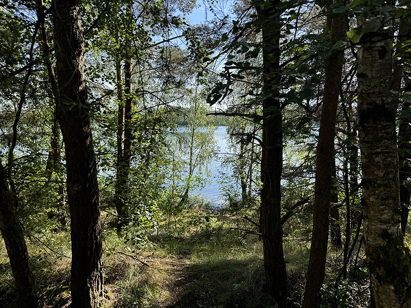 Die FKK Plätze am Brückelsee in Wackersdorf
