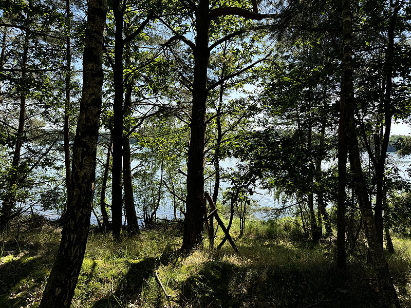 Die FKK Plätze am Brückelsee in Wackersdorf