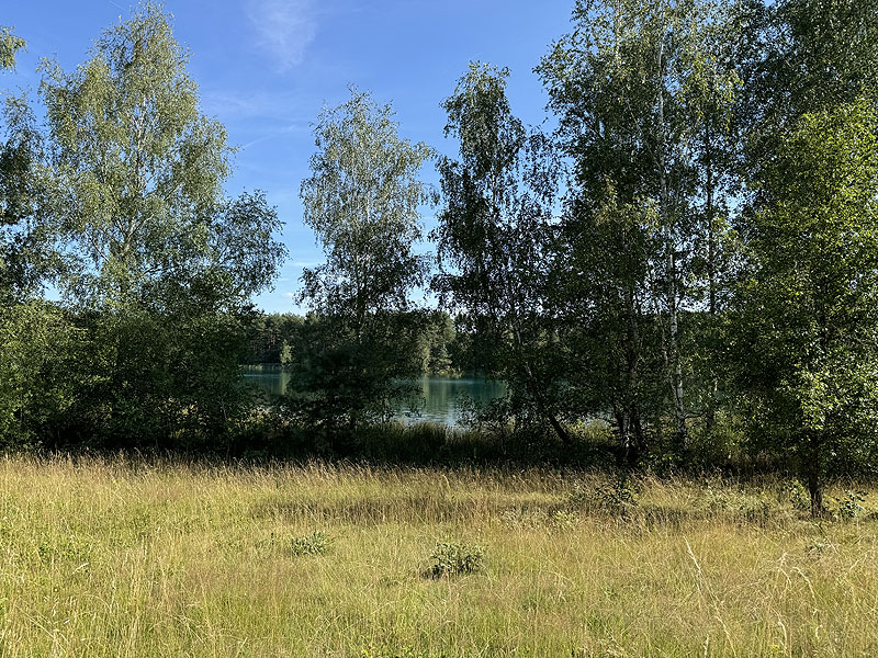 Die FKK Plätze am Brückelsee in Wackersdorf