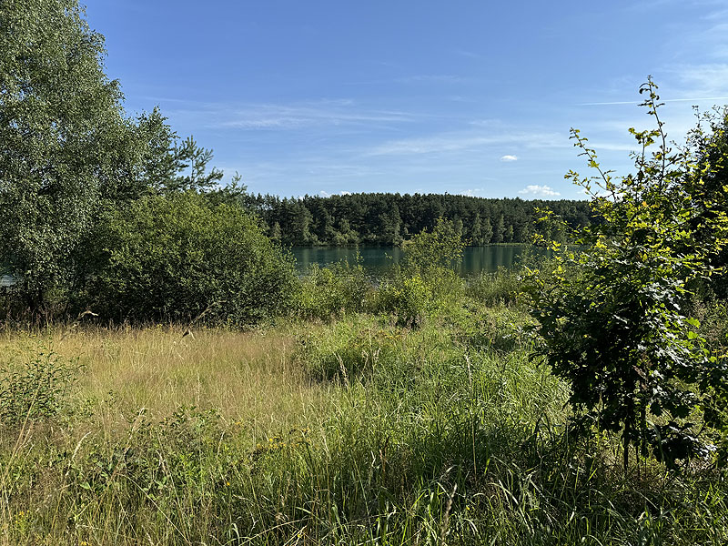 Die FKK Plätze am Brückelsee in Wackersdorf