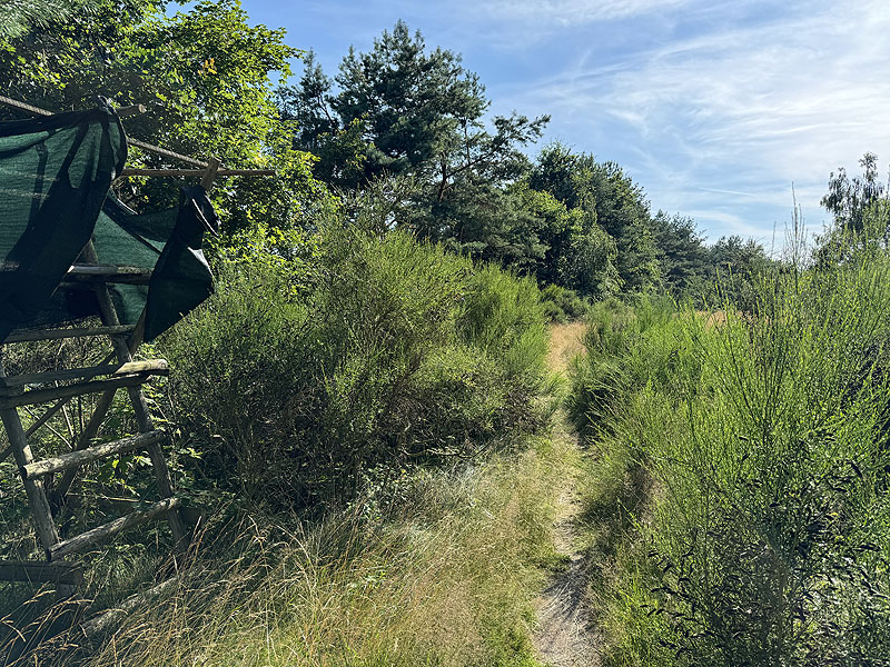 Die FKK Plätze am Brückelsee in Wackersdorf