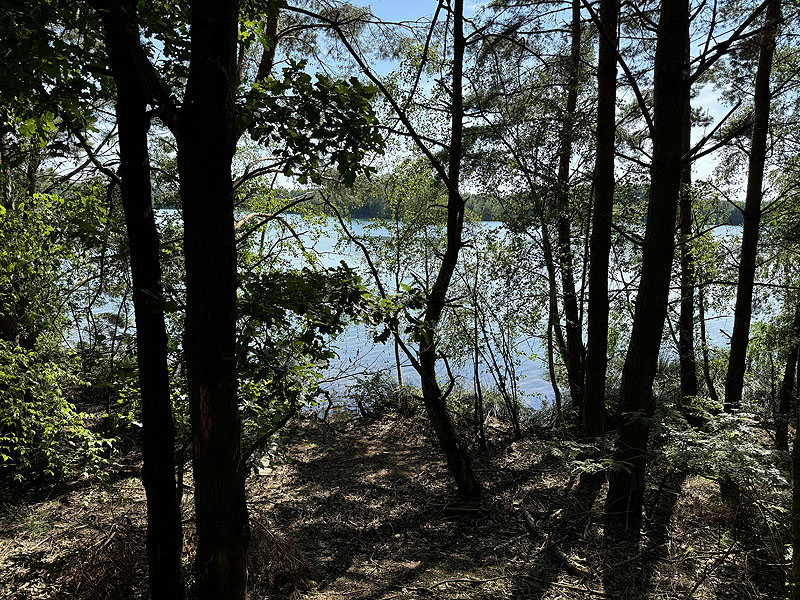 Die FKK Plätze am Brückelsee in Wackersdorf