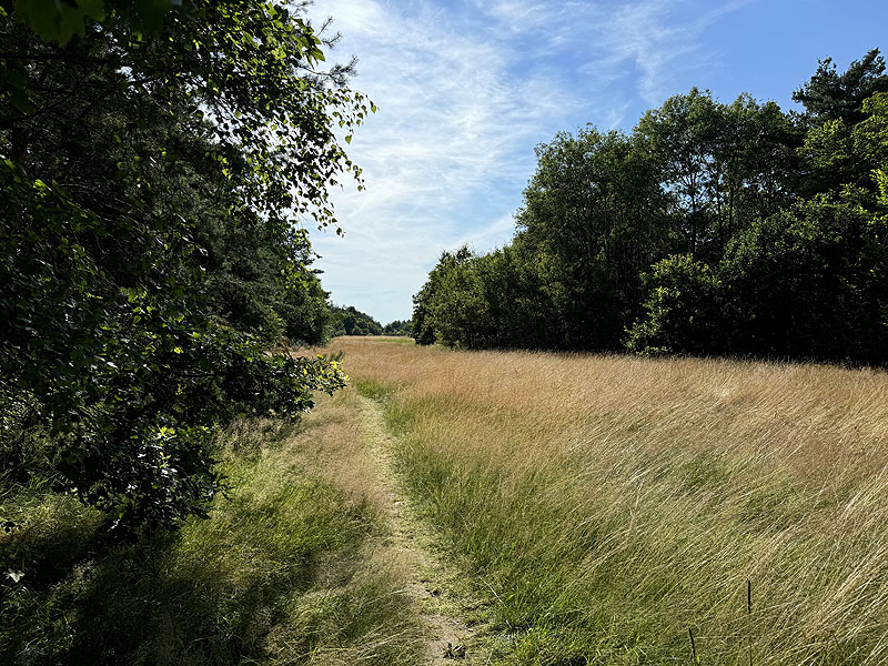 Die FKK Plätze am Brückelsee in Wackersdorf