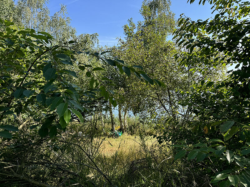 Die FKK Plätze am Brückelsee in Wackersdorf