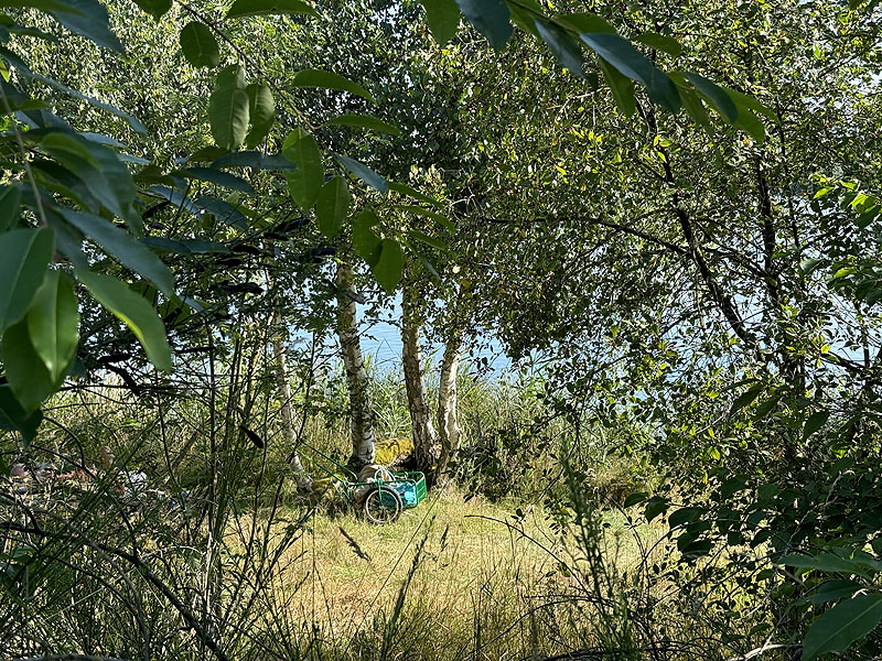 Die FKK Plätze am Brückelsee in Wackersdorf