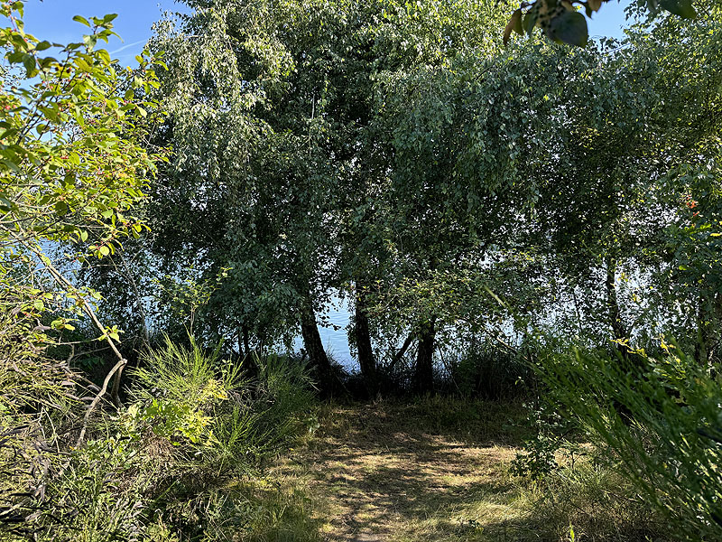 Die FKK Plätze am Brückelsee in Wackersdorf