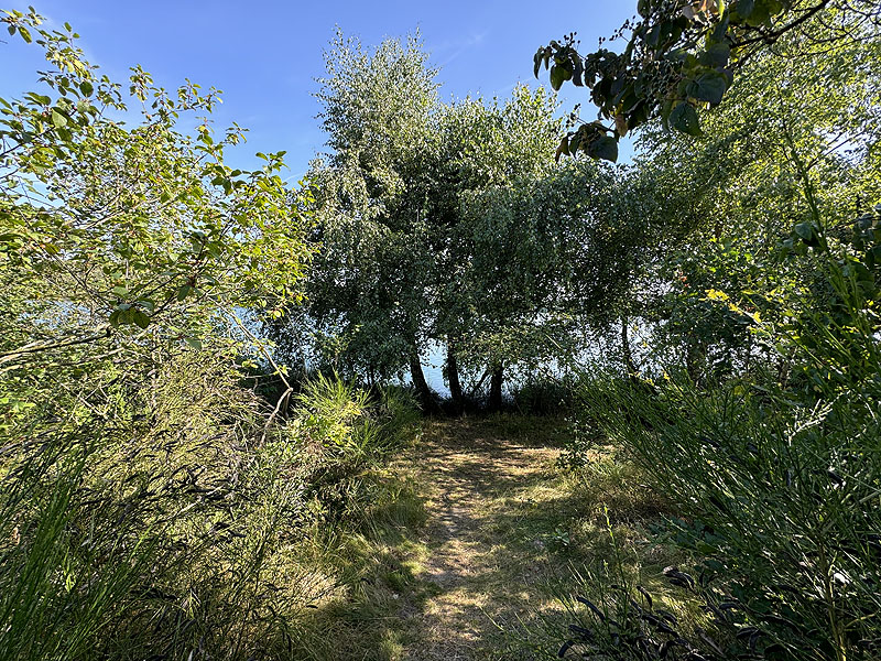 Die FKK Plätze am Brückelsee in Wackersdorf