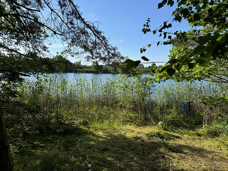 Die FKK Plätze am Brückelsee in Wackersdorf