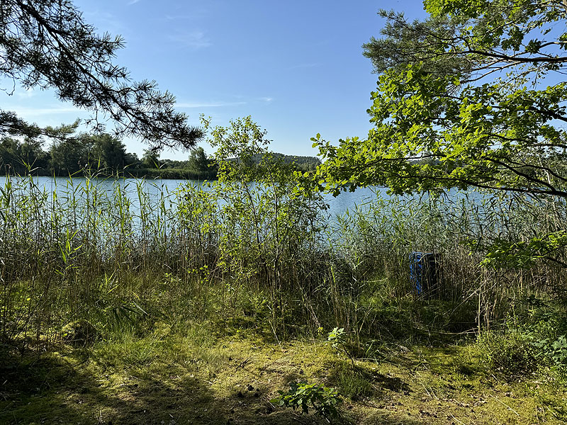 Die FKK Plätze am Brückelsee in Wackersdorf