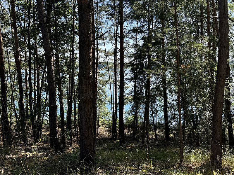 Die FKK Plätze am Brückelsee in Wackersdorf