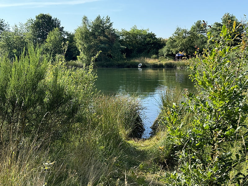 Die FKK Plätze am Brückelsee in Wackersdorf