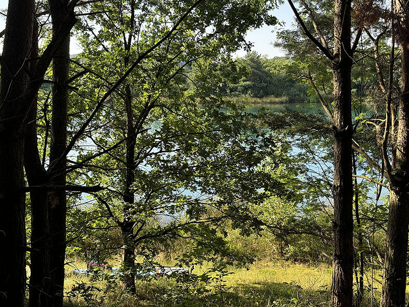 Die FKK Plätze am Brückelsee in Wackersdorf