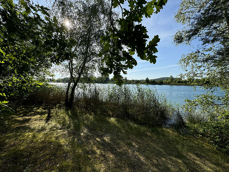 Die FKK Plätze am Brückelsee in Wackersdorf