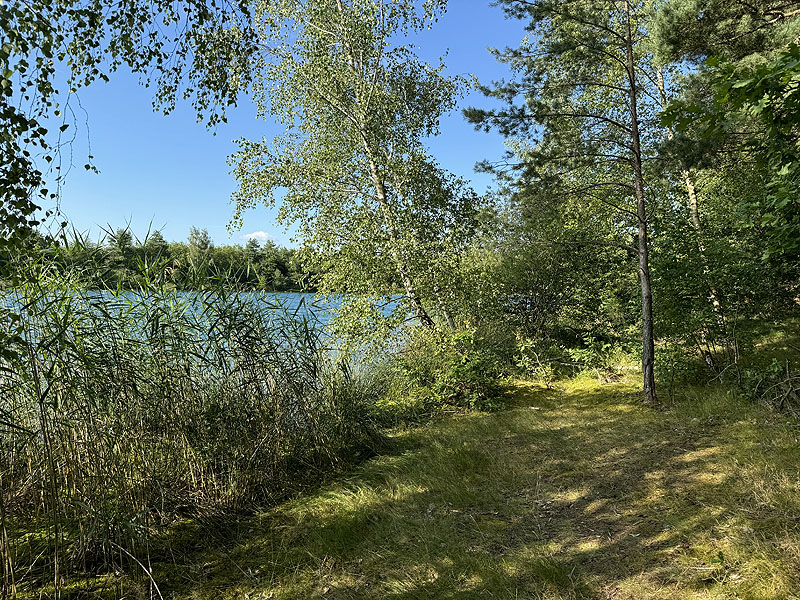 Die FKK Plätze am Brückelsee in Wackersdorf