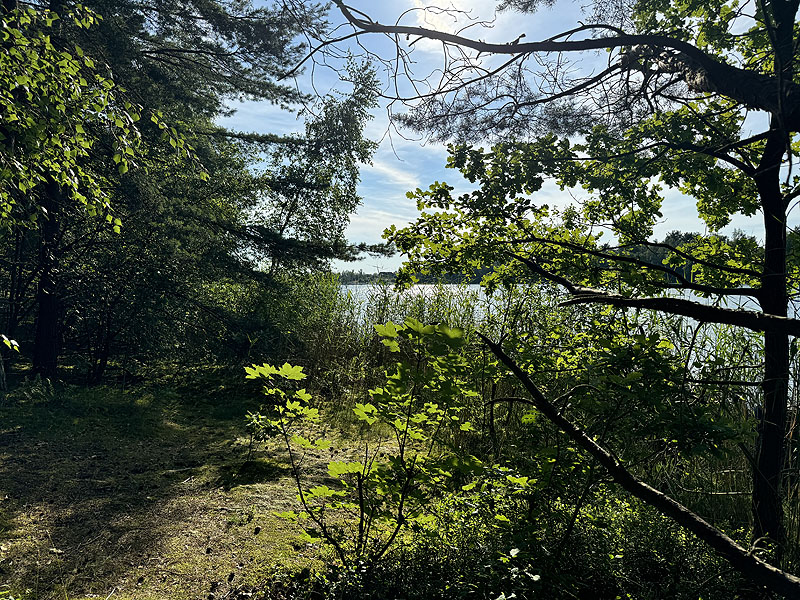 Die FKK Plätze am Brückelsee in Wackersdorf