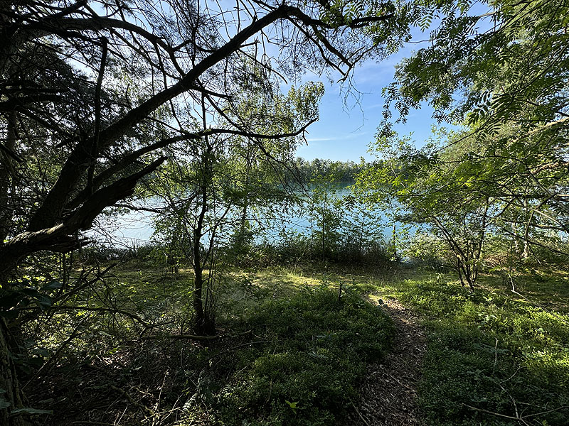 Die FKK Plätze am Brückelsee in Wackersdorf