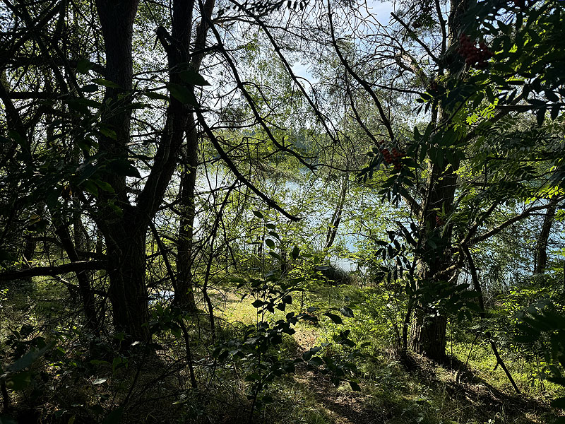 Die FKK Plätze am Brückelsee in Wackersdorf