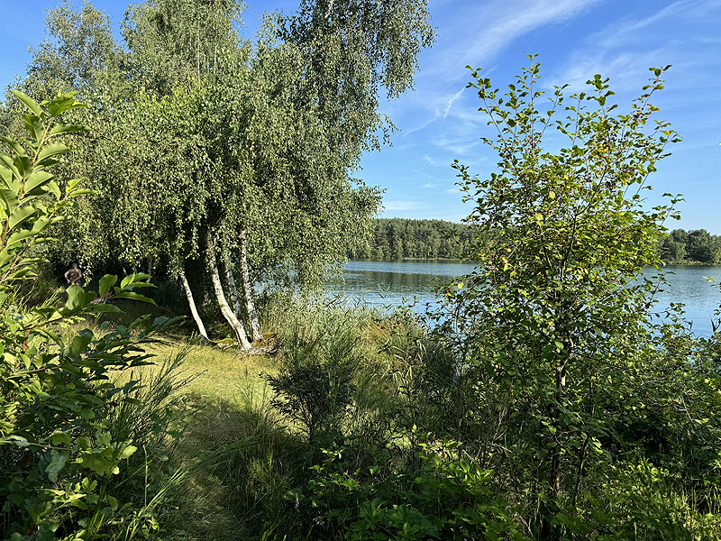 Die FKK Plätze am Brückelsee in Wackersdorf