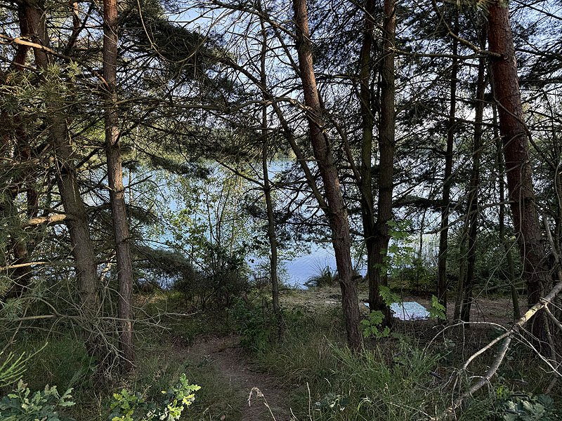 Die FKK Plätze am Brückelsee in Wackersdorf