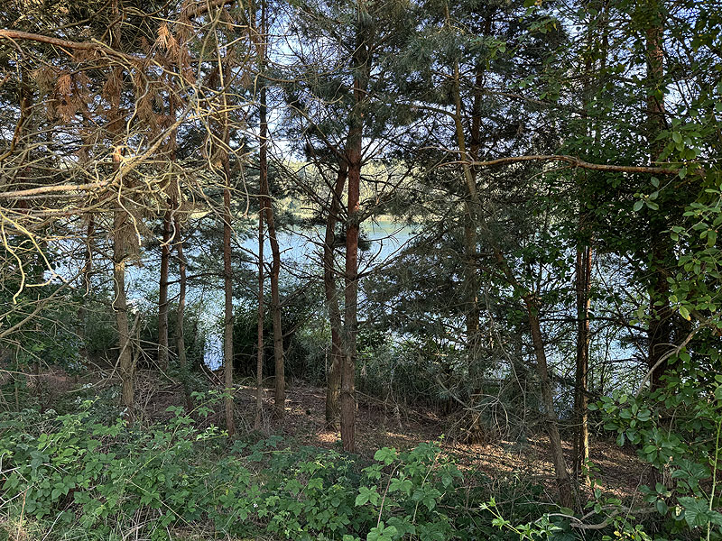 Die FKK Plätze am Brückelsee in Wackersdorf