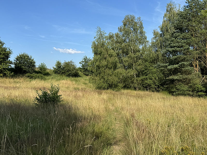 Die FKK Plätze am Brückelsee in Wackersdorf