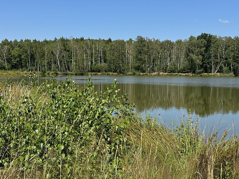 Die FKK Plätze am Edelmannsee in Wackersdorf