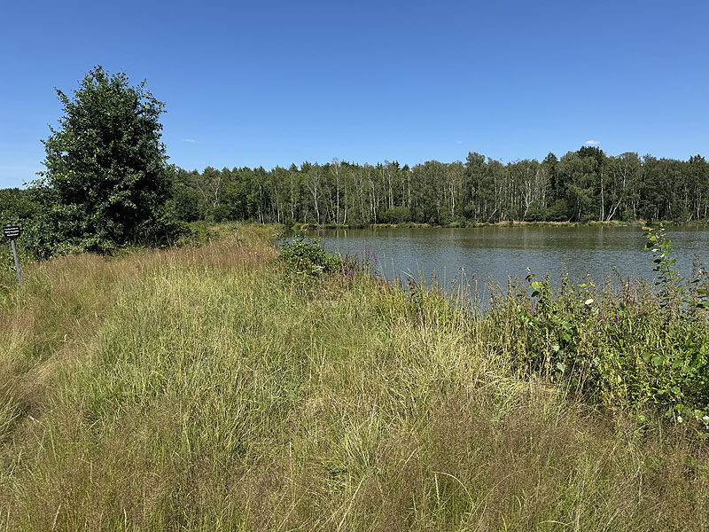 Die FKK Plätze am Edelmannsee in Wackersdorf
