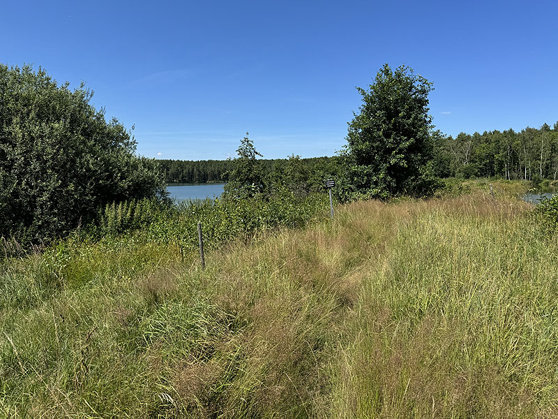 Die FKK Plätze am Edelmannsee in Wackersdorf