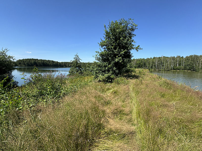 Die FKK Plätze am Edelmannsee in Wackersdorf