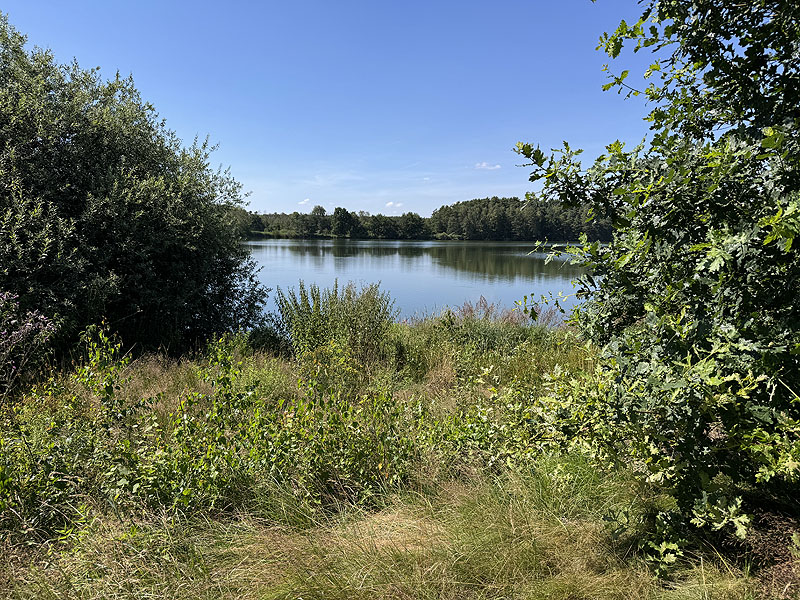 Die FKK Plätze am Edelmannsee in Wackersdorf