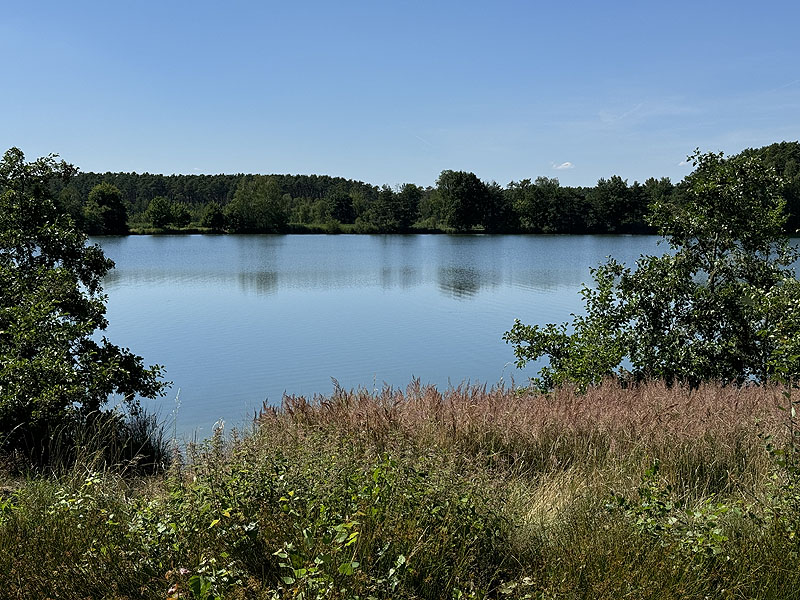 Die FKK Plätze am Edelmannsee in Wackersdorf