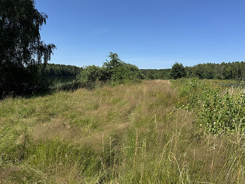 Die FKK Plätze am Edelmannsee in Wackersdorf