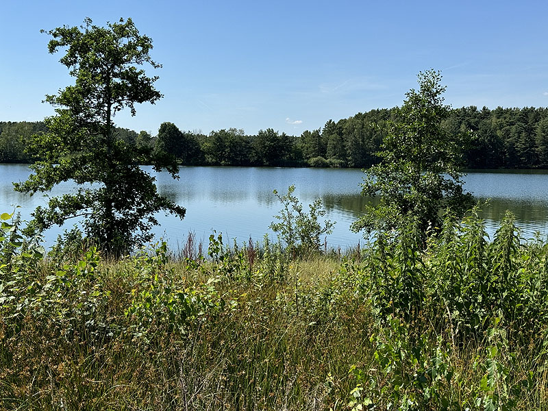 Die FKK Plätze am Edelmannsee in Wackersdorf
