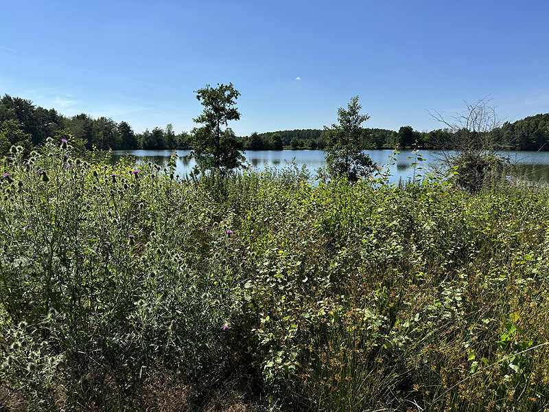 Die FKK Plätze am Edelmannsee in Wackersdorf