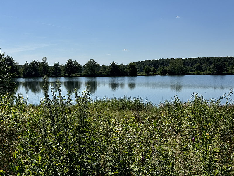 Die FKK Plätze am Edelmannsee in Wackersdorf