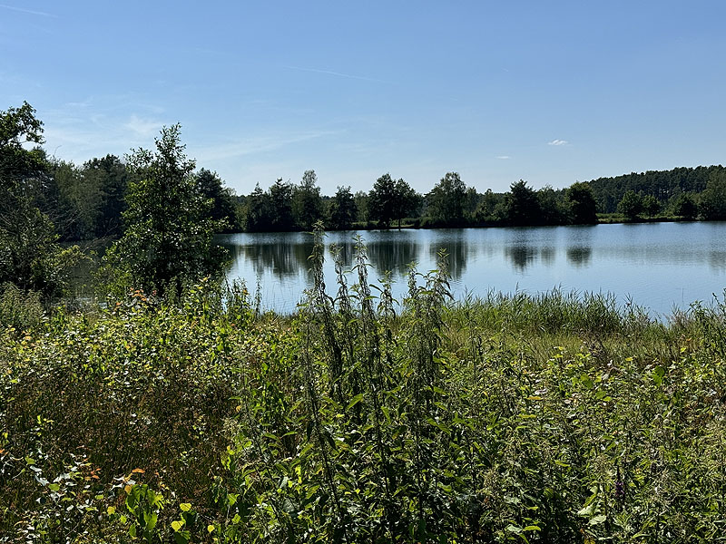 Die FKK Plätze am Edelmannsee in Wackersdorf