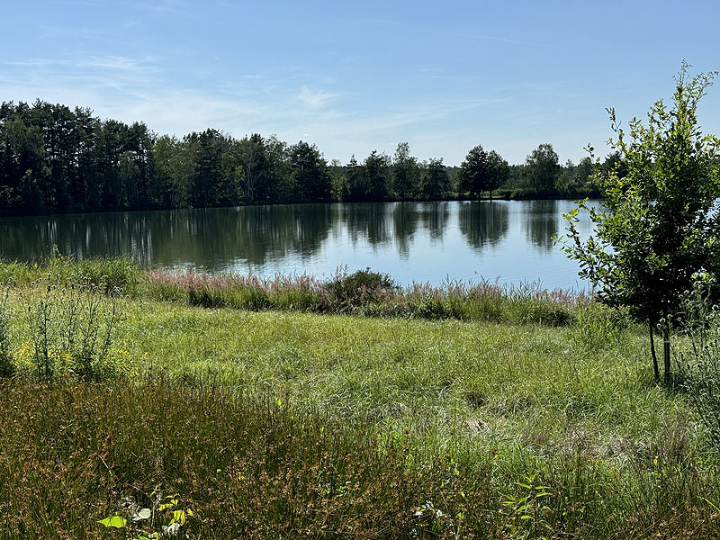 Die FKK Plätze am Edelmannsee in Wackersdorf