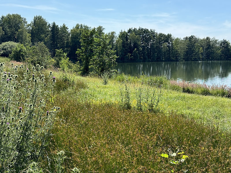 Die FKK Plätze am Edelmannsee in Wackersdorf