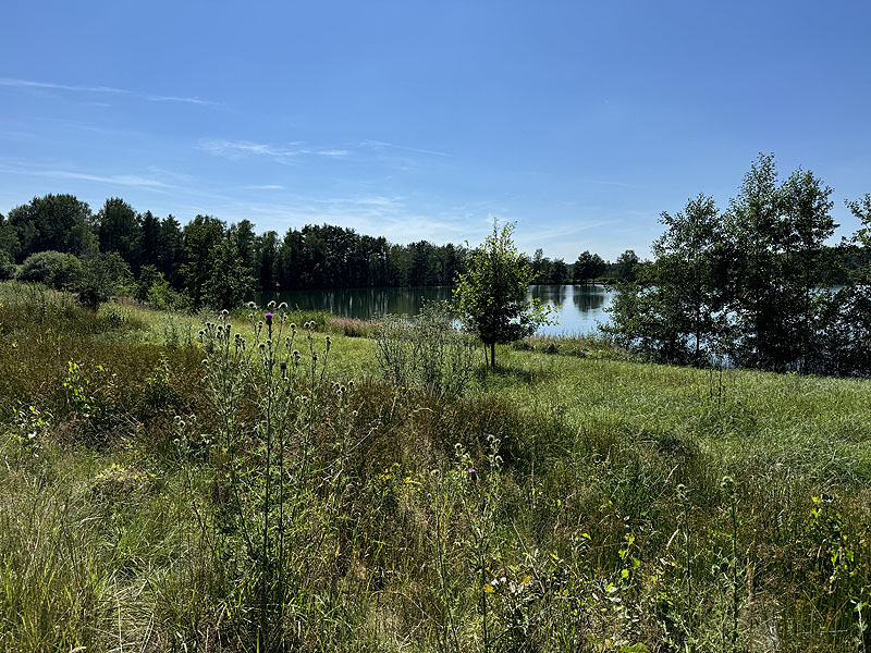 Die FKK Plätze am Edelmannsee in Wackersdorf