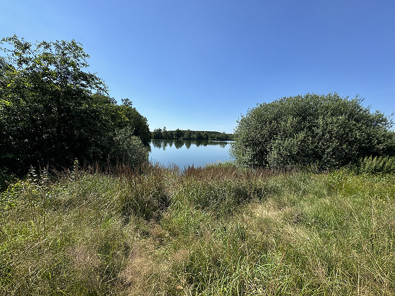 Die FKK Plätze am Edelmannsee in Wackersdorf