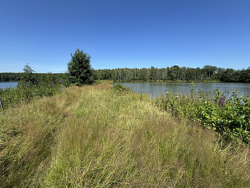 Die FKK Plätze am Edelmannsee in Wackersdorf