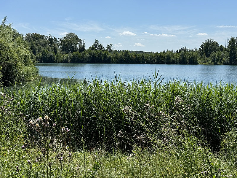 Die FKK Plätze am Klausensee in Schwandorf