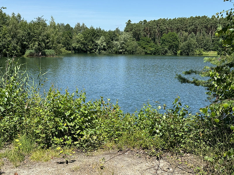 Die FKK Plätze am Klausensee in Schwandorf